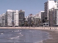 Pocitos La Rambla Studio Apartment