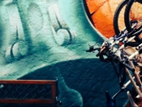 Punto Berro Ciudad Vieja