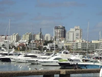 Forest Punta Del Este
