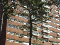 Arcobaleno en Punta del Este