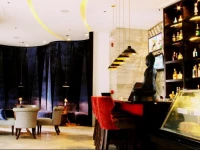 The Penthouse Hotel and Residences