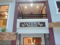 Silverise Pension 2*