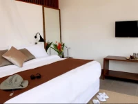 The Funny Lion Inn 4*