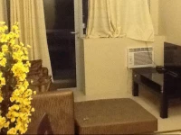 Palm tree Genlex Condo