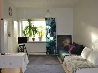 Pihlajahome