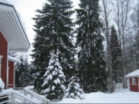 Lapland Holiday House