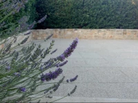 Familly Home Sikiric