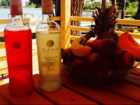 Mobile home Soline Seaside