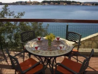 Pansion Zlatna ribica