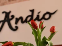 Bed&Breakfast Andio 4*