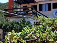 Uvala Zarace 2048 Holiday Home