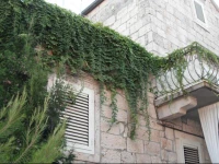 Guesthouse Colenda 2*