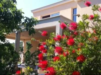 Vacation house Peaceful Shelter Korcula