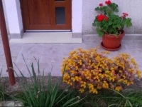 One-Bedroom House in Labin I