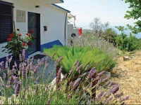 Drobnjak Holiday Home