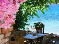 Villa Hotel Barbat 3*