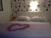 Bed and breakfast Nika