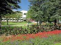 Lebed (Р›РµР±РµРґСЊ) 4*