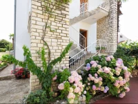 AB Adria Home Guest House