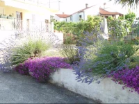 Jasmin Guest House 3*