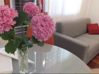 Apatment RubeЕЎi 180