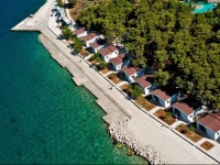 Dalmatian Star Homes