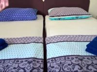 Little Seahorse Hostel