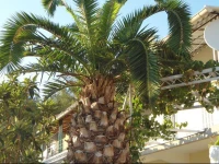 ЕЅeljko KlariД‡ Guest House