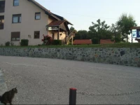 Family PuЕЎkariД‡