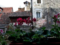 JR Luxury Guesthouse