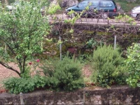 Kristina Rooms Guest House