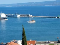 Sweet Home PalmotiД‡eva