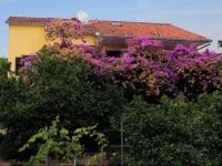 Double Room Stari Grad 100c