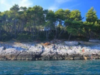 Uvala Spiliska 9142 Holiday Home