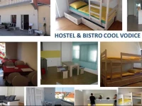 Cool Hostel