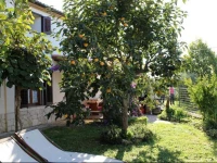 in Vizinada with Two-Bedrooms 1 Holiday Home