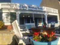 The Lazy Monkey Hostel