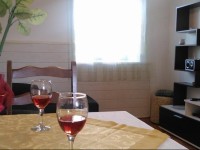 Arbanase Holiday Home