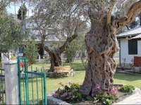 Michael Family House