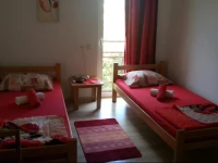 Mali Dalas Djenovici 6