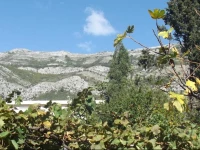 on Rutke Holiday Home