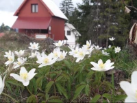 Е epiД‡ Accommodation