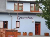 Levandule