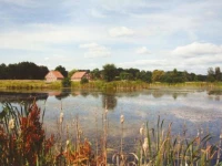 1. Deutsches Kartoffel