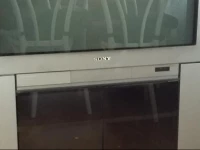 Confortable Holandska