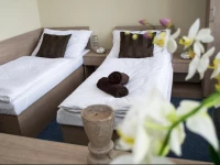 Penzion s wellness UherskГ© HradiЕЎtД›