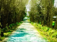 CabaГ±as & Camping Mae Joa