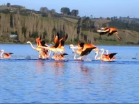 Casa Chiloe Bordemar