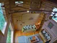 La Casa Del ГЃrbol De ChiloГ©