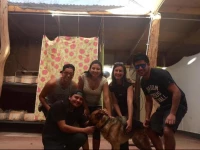 Hostal Paso Los Toros